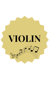 VIOLIN